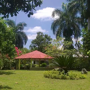 Los Palmares & Eventos Homestay